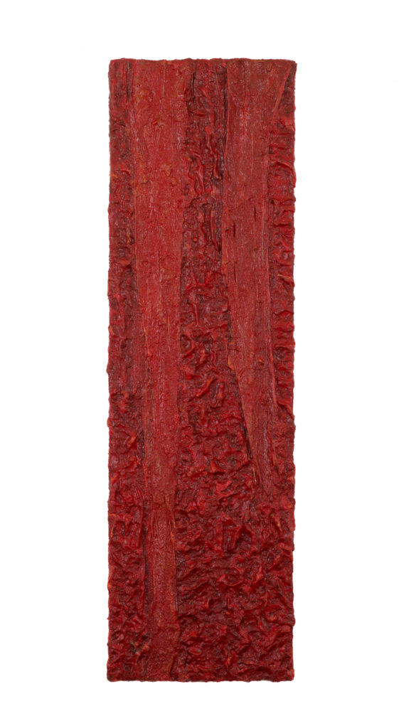 HAM 5 - Red - 170 x 50